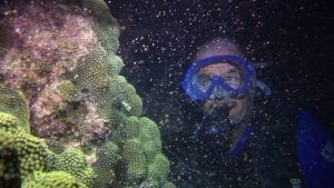Man Snorkeling near Florida Keys Reef